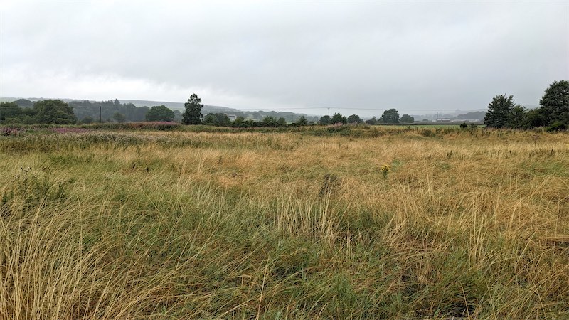 View looking northwest from 'centre spot' of the Crawick Holm 'pitch' towards Crawick Water (not visible in this photo)